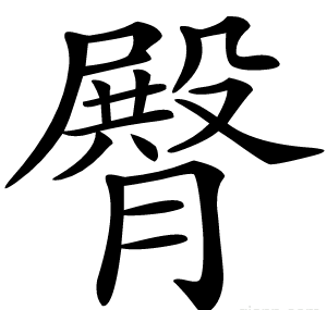 臀